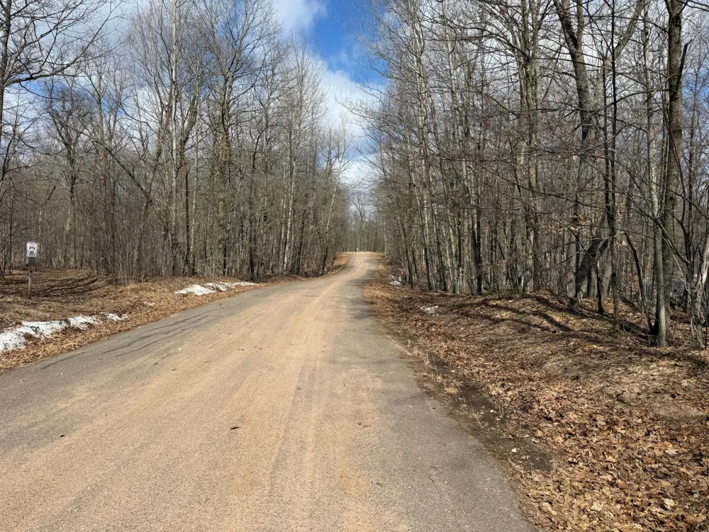 TBD Ripley Spur Road Sarona, WI 54870