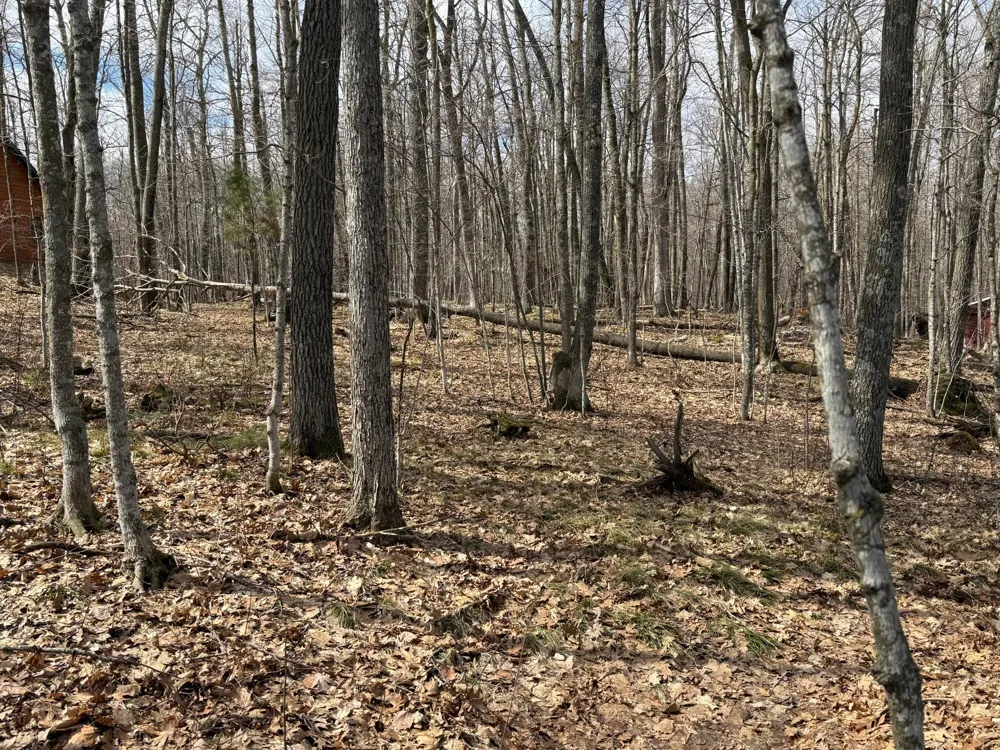 TBD Ripley Spur Road Sarona, WI 54870