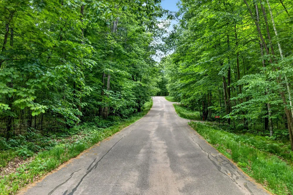 TBD Ripley Spur Road Sarona, WI 54870