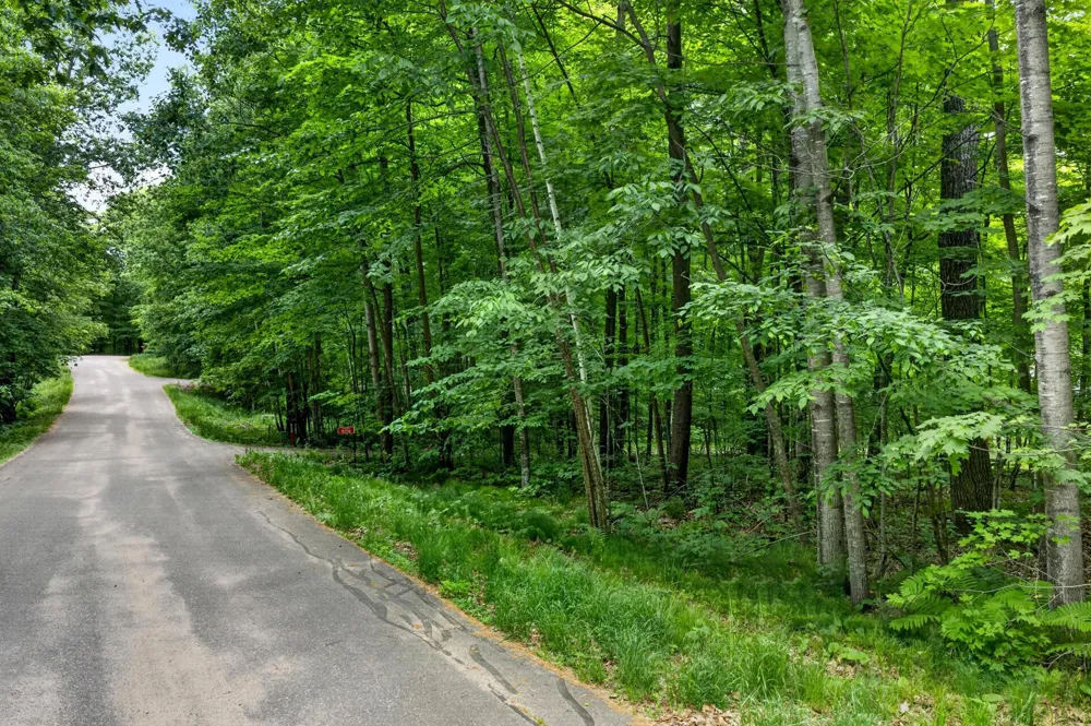 TBD Ripley Spur Road Sarona, WI 54870