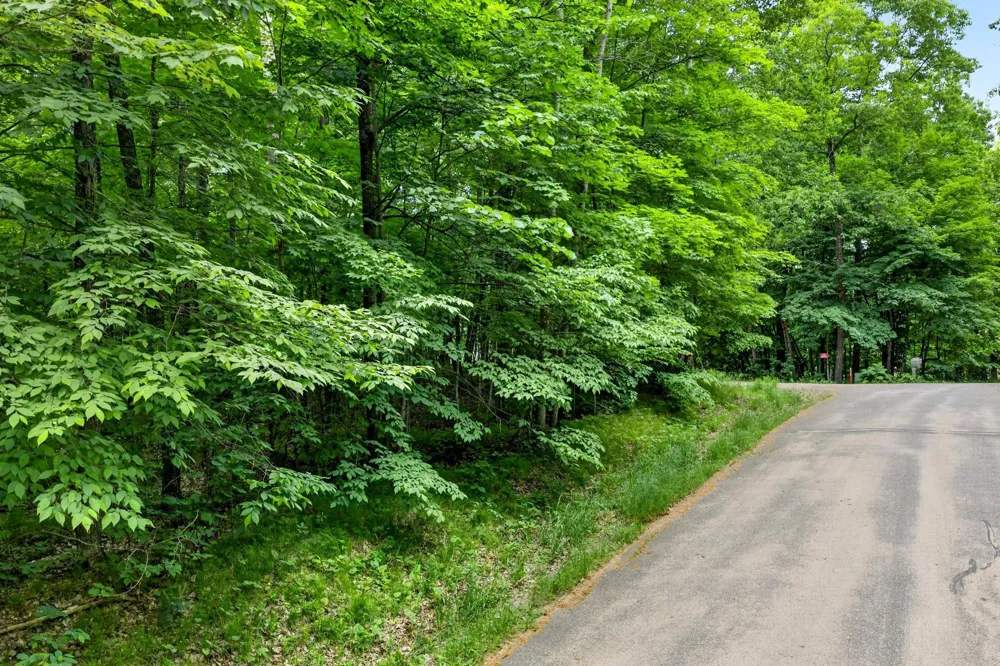 TBD Ripley Spur Road Sarona, WI 54870