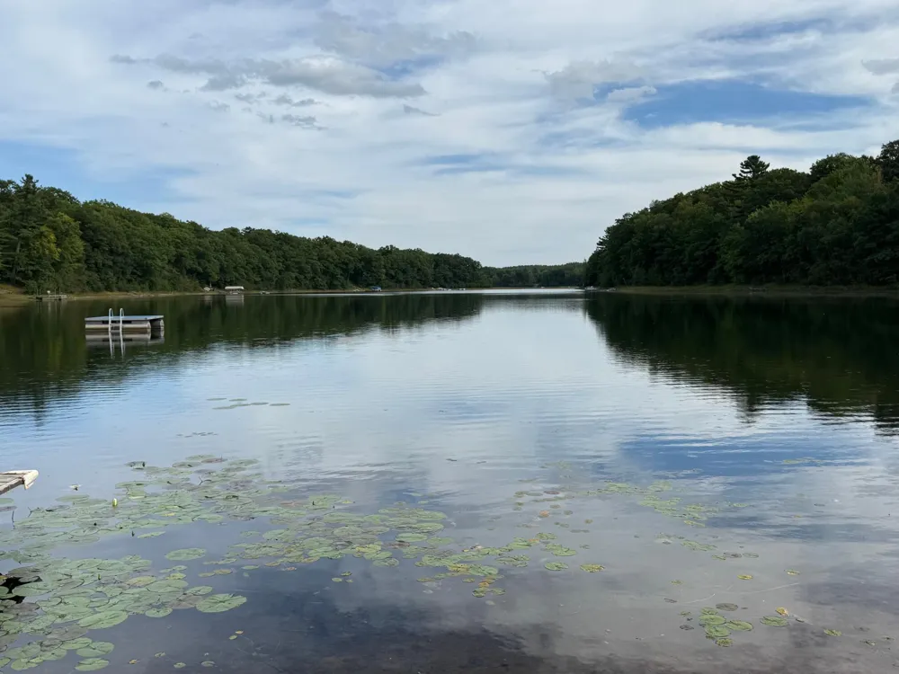 N3474 Fenander Road Sarona, WI 54870