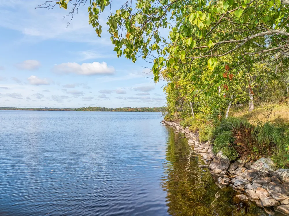 2734 Bear Island River Road Ely, MN 55731