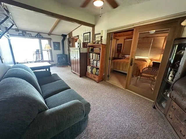 2734 Bear Island River Road Ely, MN 55731