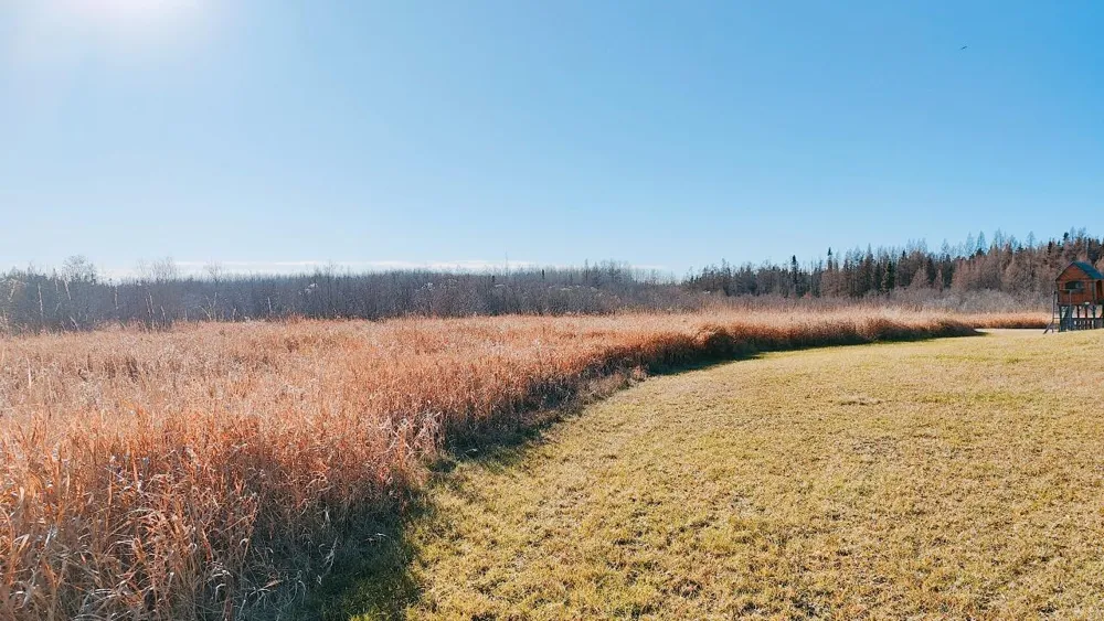 10478 Leander Road Angora, MN 55703