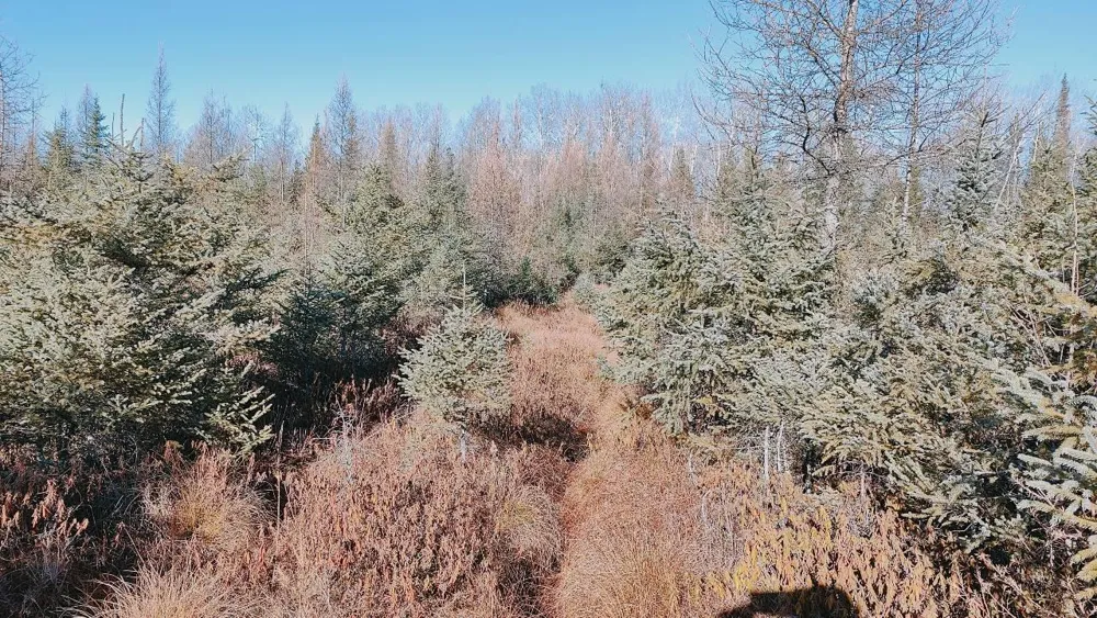 10478 Leander Road Angora, MN 55703