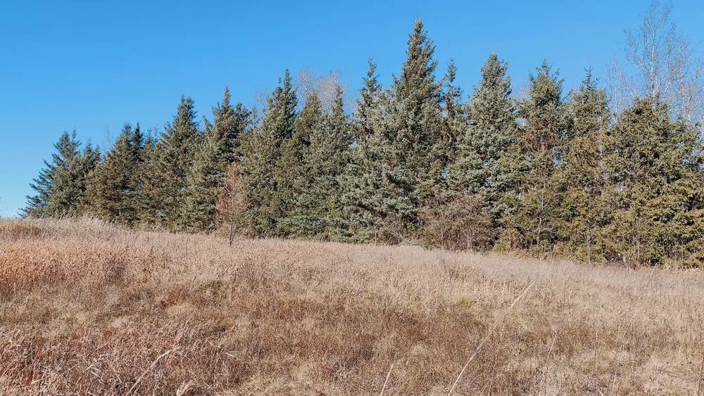 10478 Leander Road Angora, MN 55703