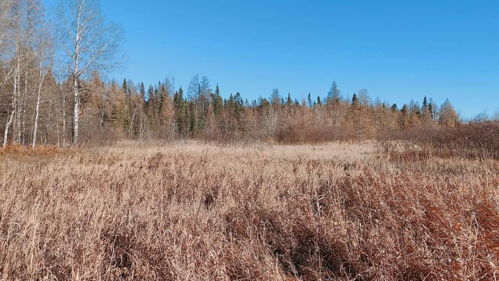 10478 Leander Road Angora, MN 55703