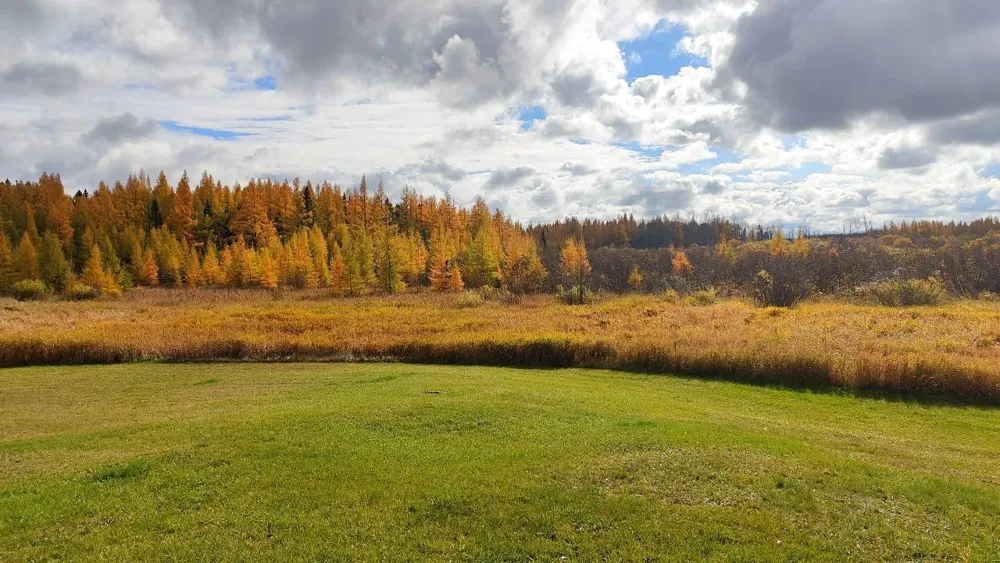 10478 Leander Road Angora, MN 55703