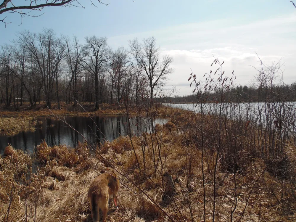 XXX 57th Street Cumberland, WI 54829