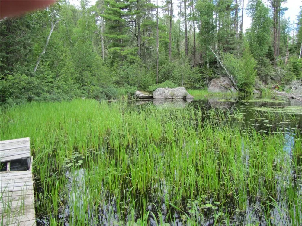 Unit 1 N Kelly Trail Isabella, MN 55731