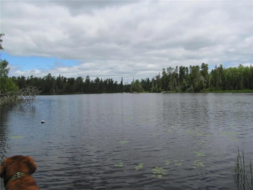 Unit 1 N Kelly Trail Isabella, MN 55731