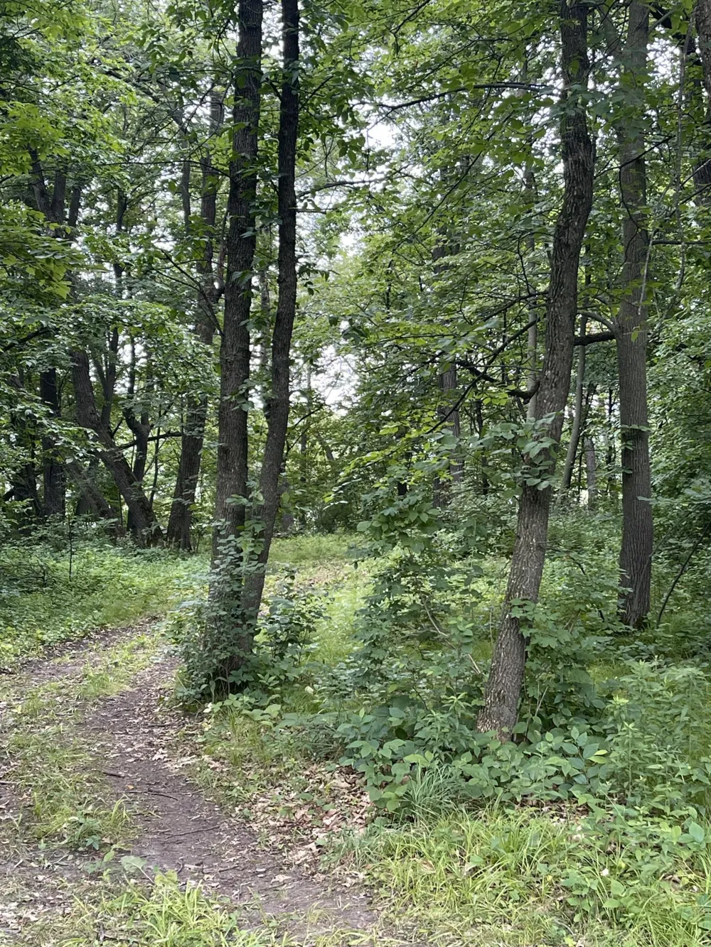 24325 180th Street Paynesville, MN 56362