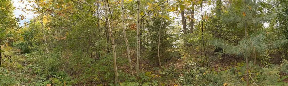 7646 196th Street Chippewa Falls, WI 54729