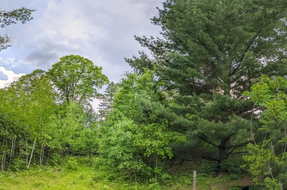 7646 196th Street Chippewa Falls, WI 54729