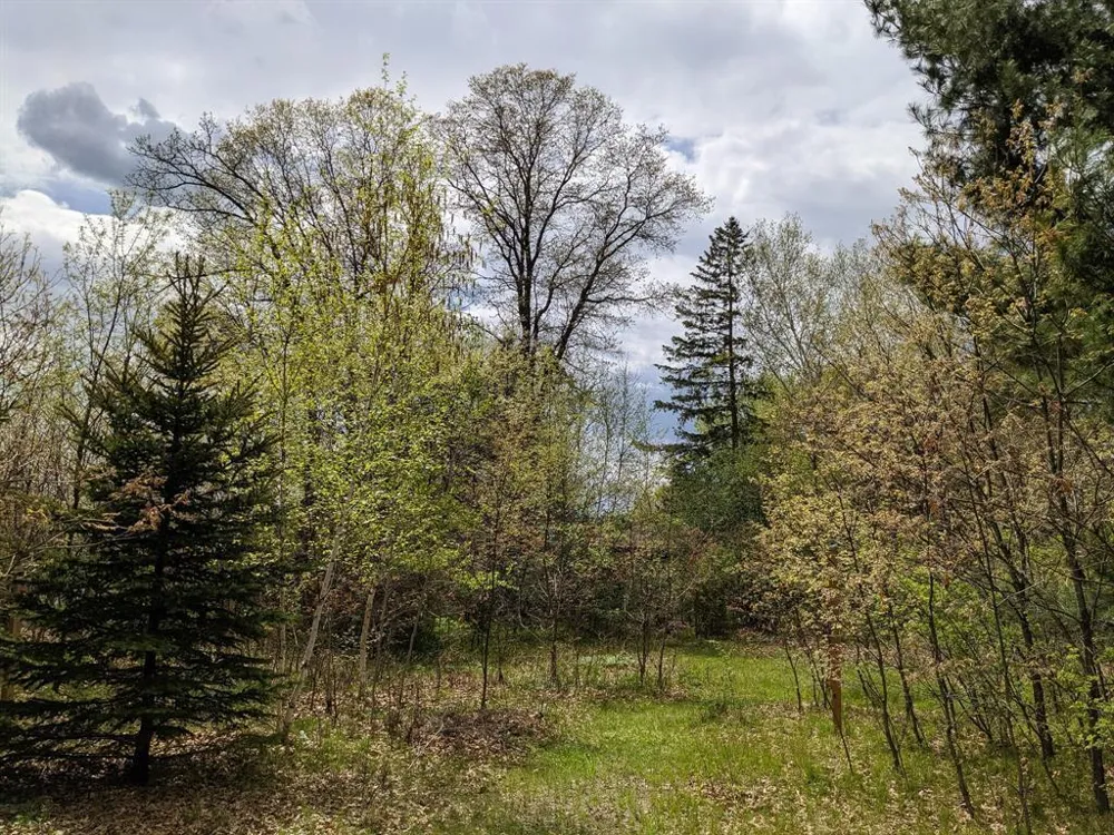 7646 196th Street Chippewa Falls, WI 54729