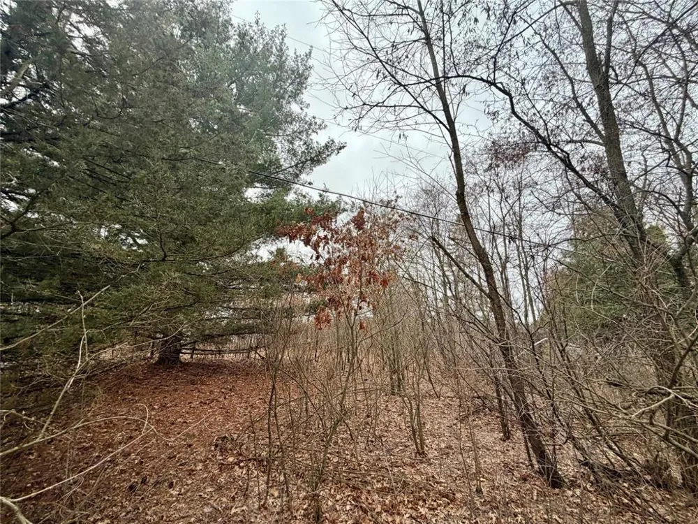 7646 196th Street Chippewa Falls, WI 54729