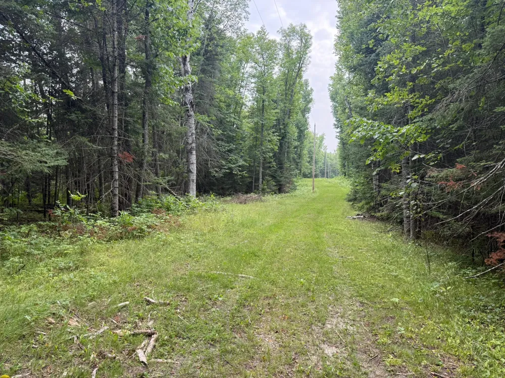 TBD Cedar Point Road Marcell, MN 56657