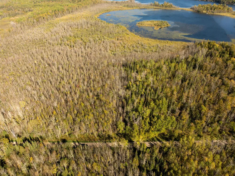 TBD Cedar Point Road Marcell, MN 56657