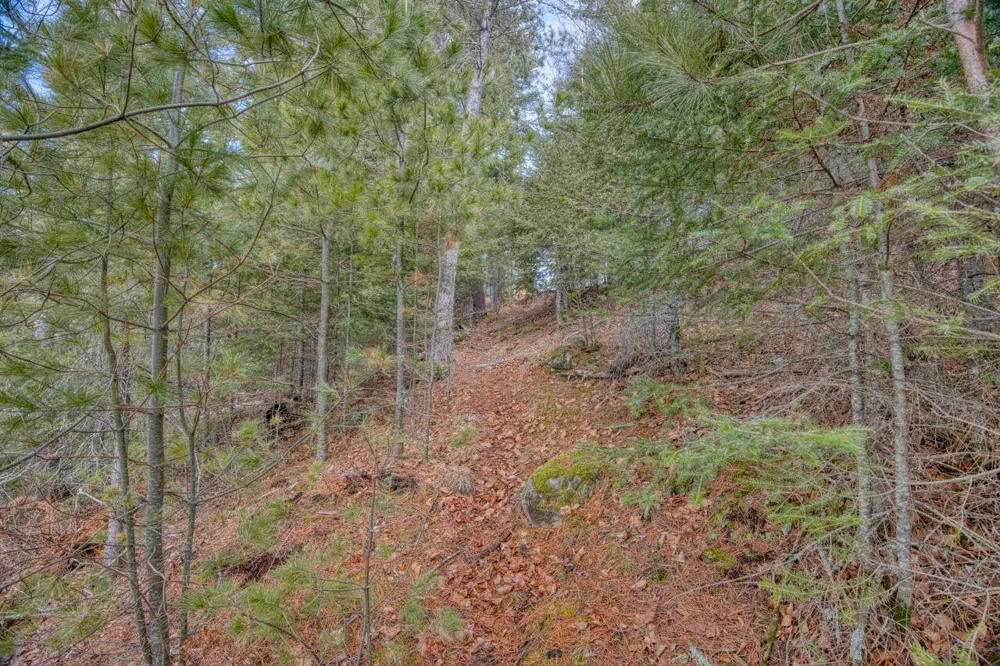 10894 Bessette Road Orr, MN 55771