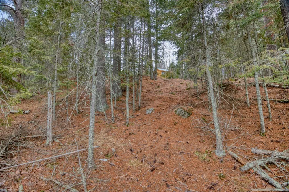 10894 Bessette Road Orr, MN 55771