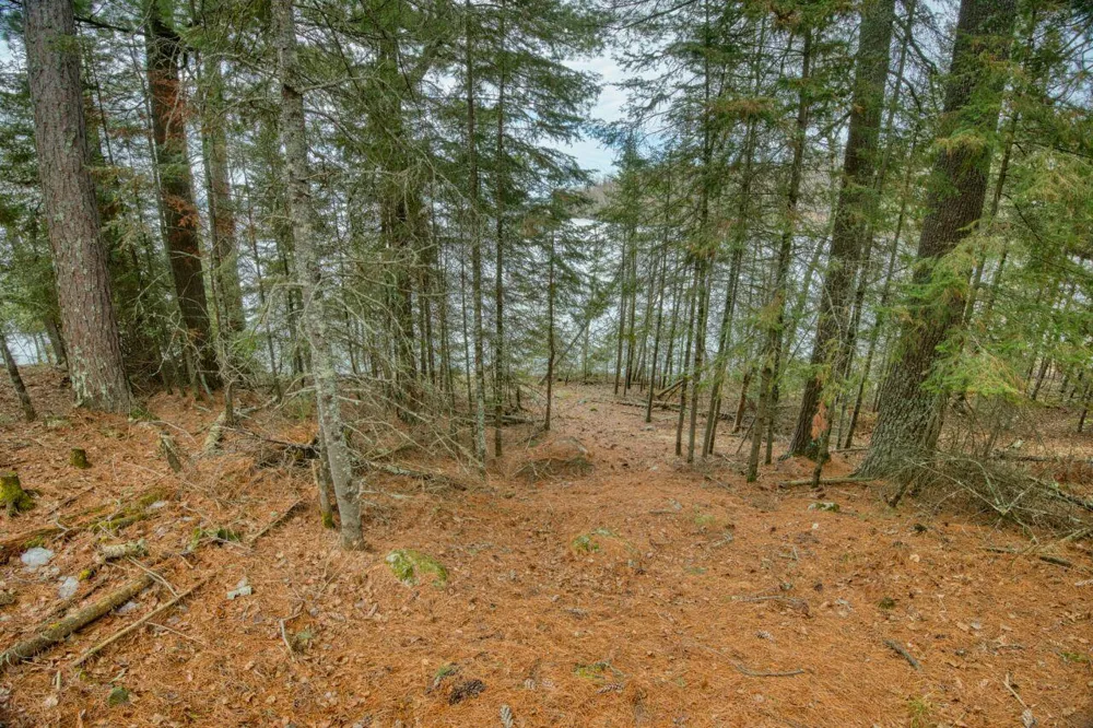 10894 Bessette Road Orr, MN 55771