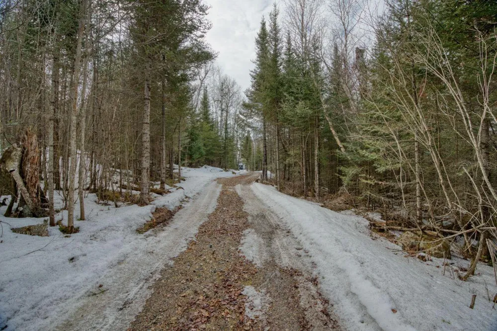 10894 Bessette Road Orr, MN 55771