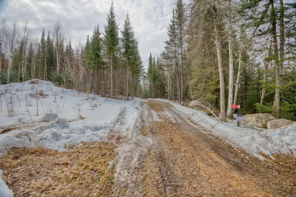 10894 Bessette Road Orr, MN 55771