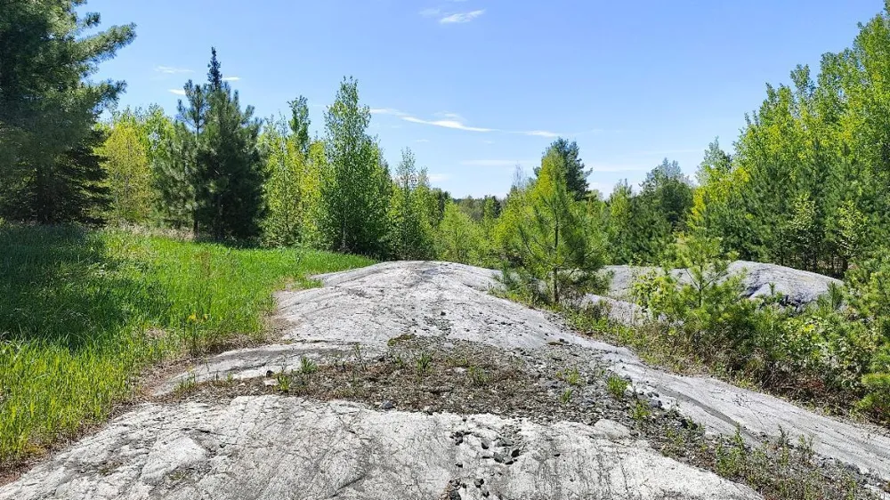 80036 Sweet Fern Loop Tower, MN 55790