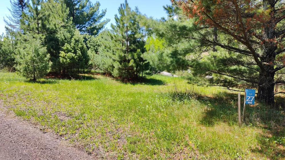 80036 Sweet Fern Loop Tower, MN 55790