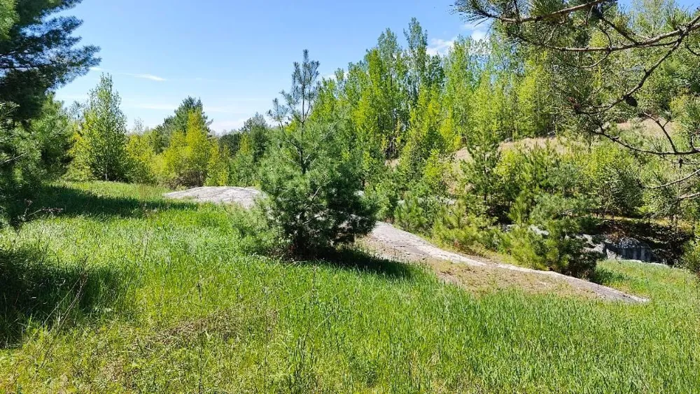 80036 Sweet Fern Loop Tower, MN 55790
