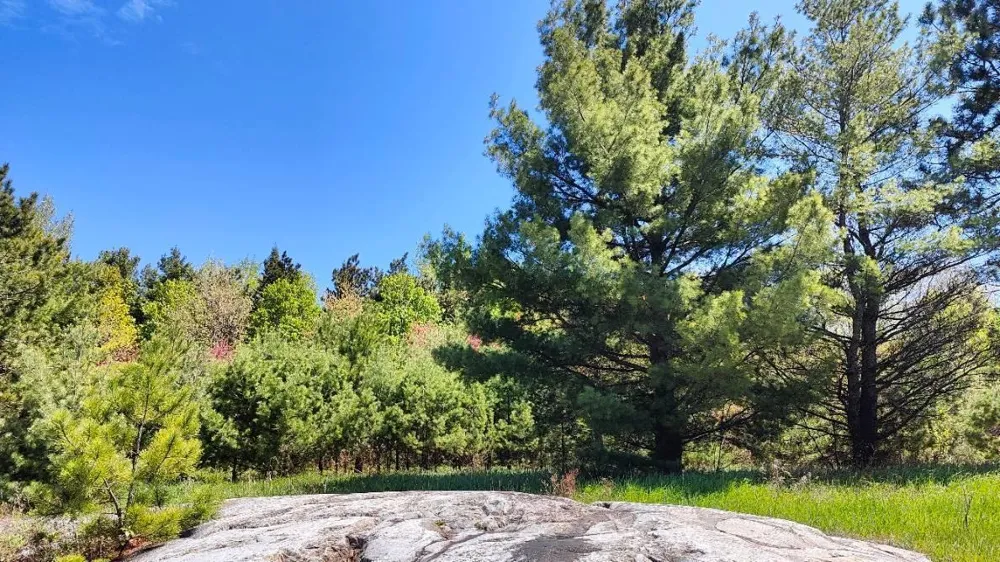 80036 Sweet Fern Loop Tower, MN 55790