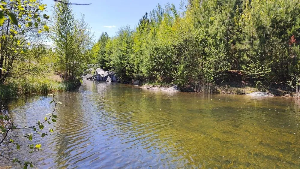 80036 Sweet Fern Loop Tower, MN 55790
