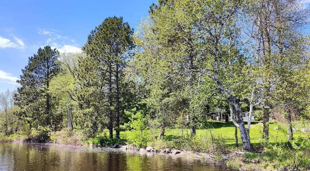 80036 Sweet Fern Loop Tower, MN 55790