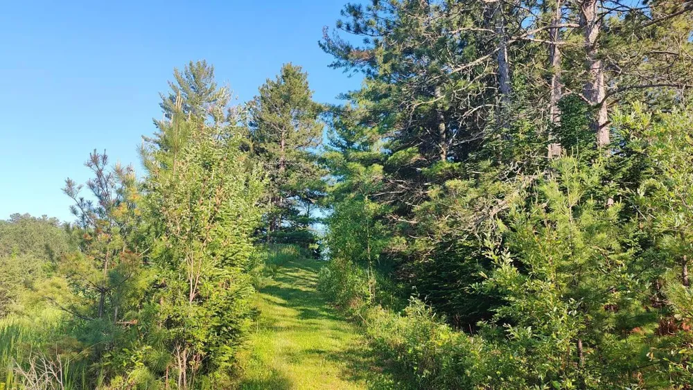 80036 Sweet Fern Loop Tower, MN 55790