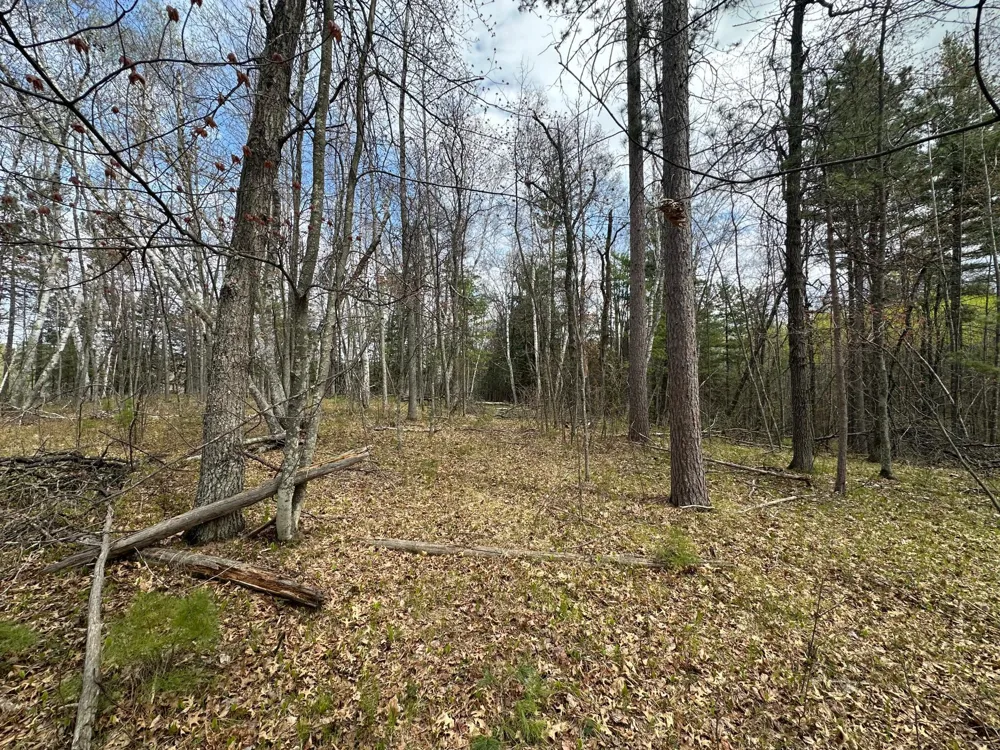 TBD Dobosenski Road Sturgeon Lake, MN 55783