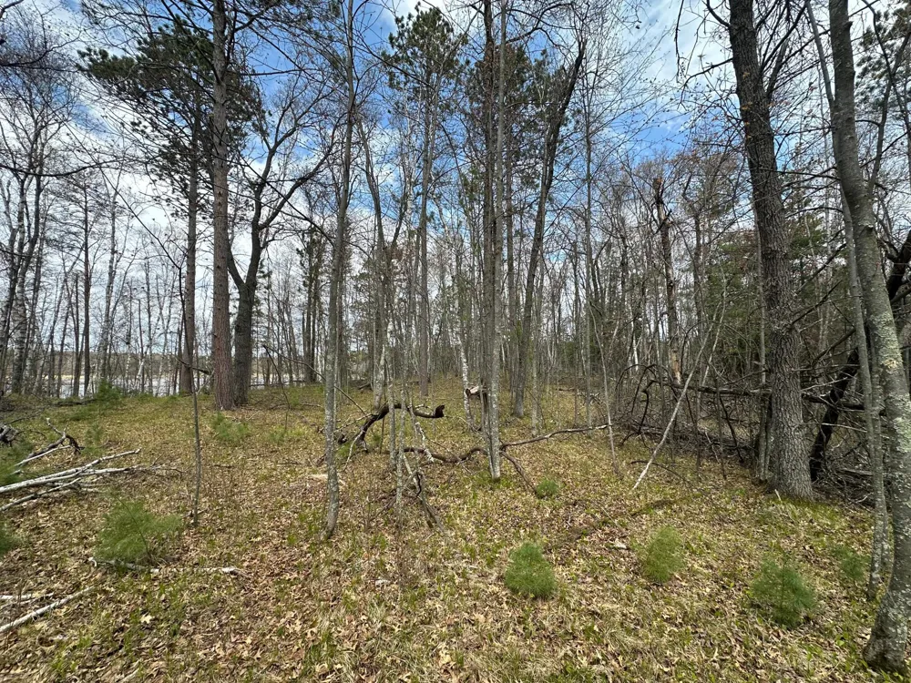 TBD Dobosenski Road Sturgeon Lake, MN 55783