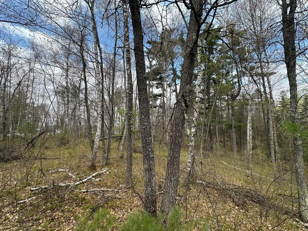 TBD Dobosenski Road Sturgeon Lake, MN 55783