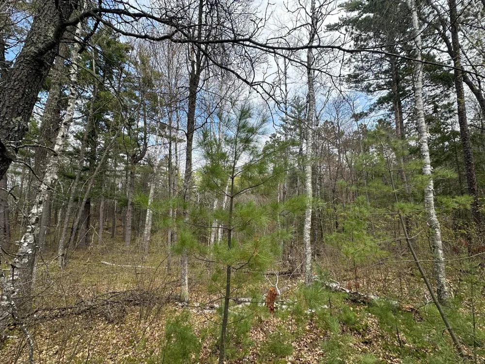 TBD Dobosenski Road Sturgeon Lake, MN 55783