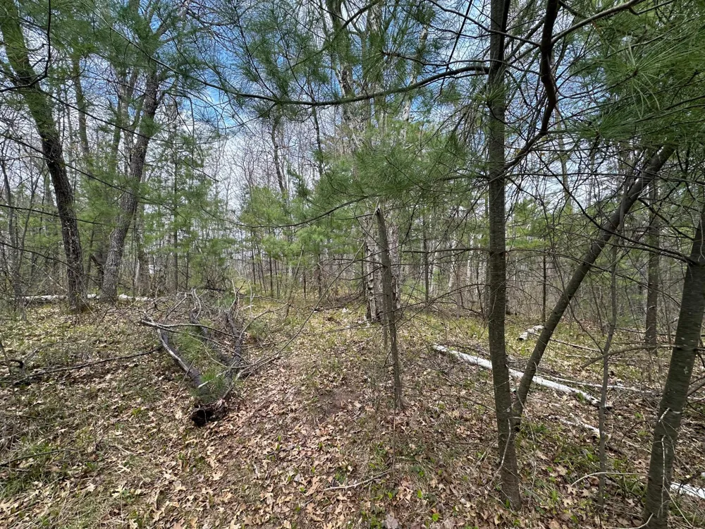 TBD Dobosenski Road Sturgeon Lake, MN 55783