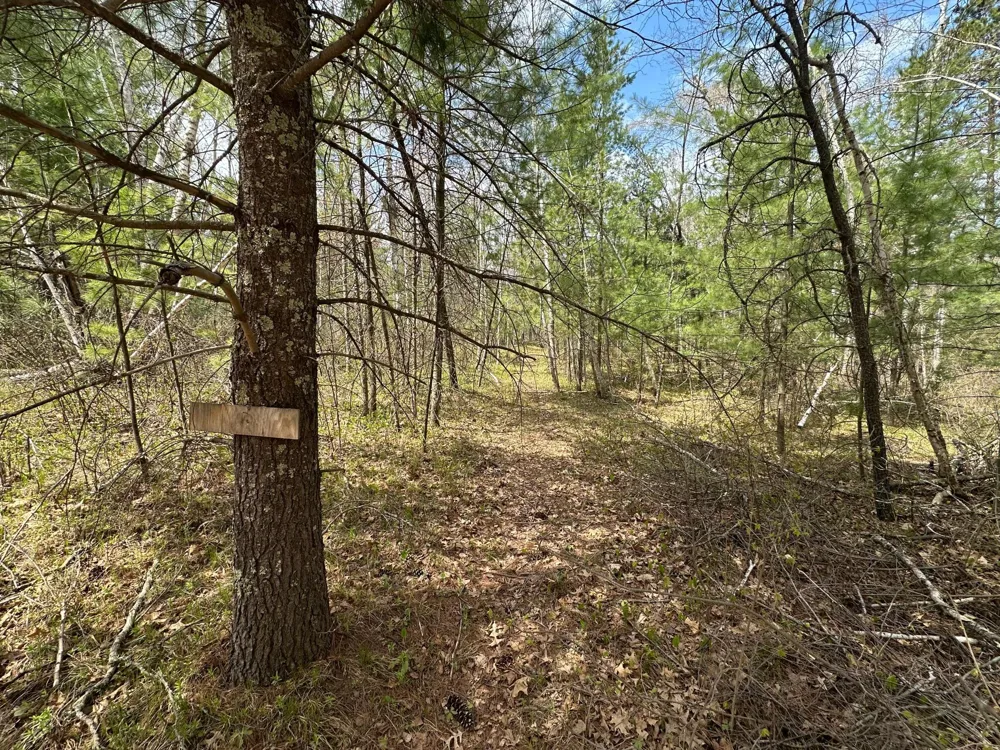 TBD Dobosenski Road Sturgeon Lake, MN 55783