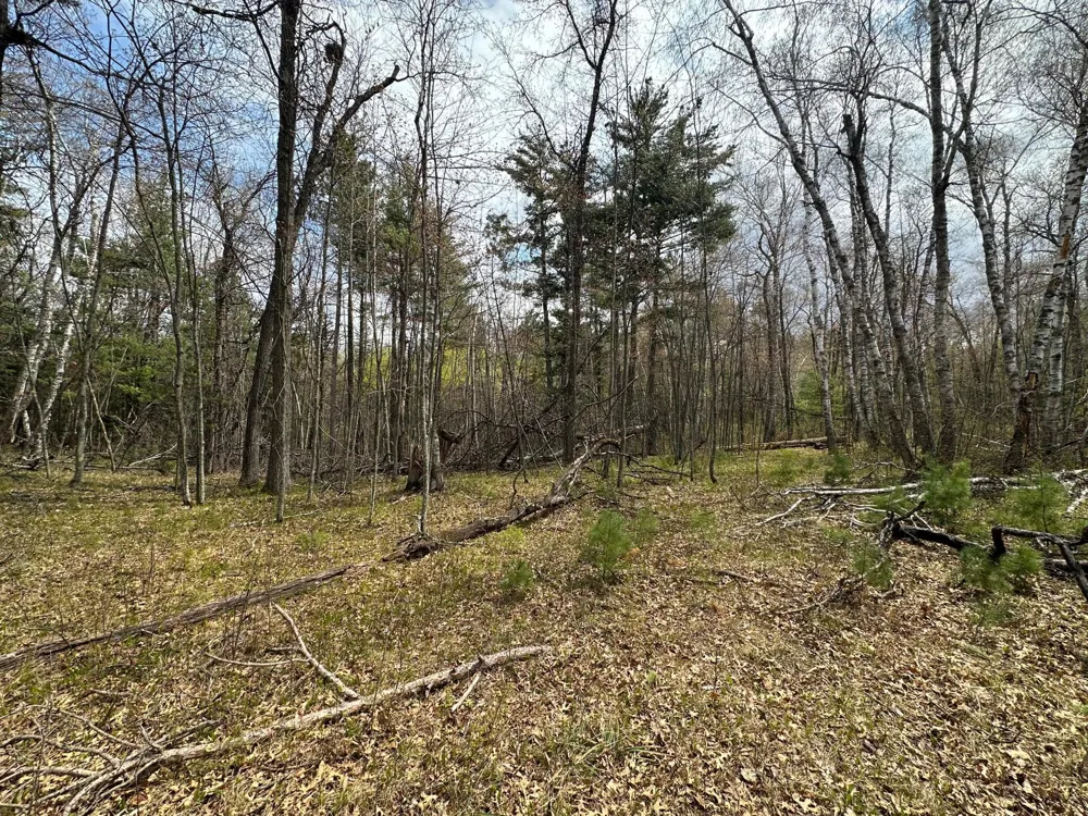 TBD Dobosenski Road Sturgeon Lake, MN 55783