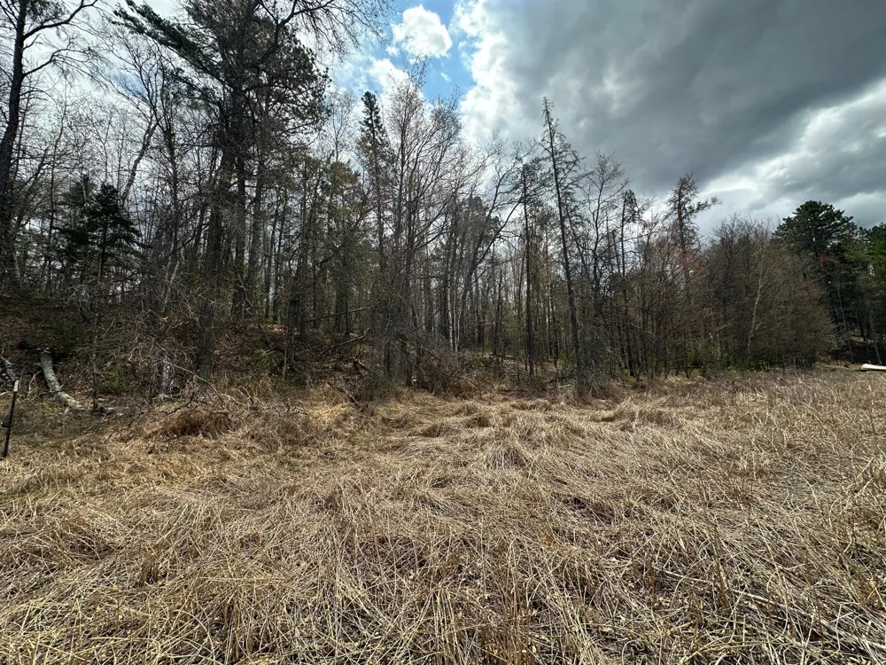 TBD Dobosenski Road Sturgeon Lake, MN 55783
