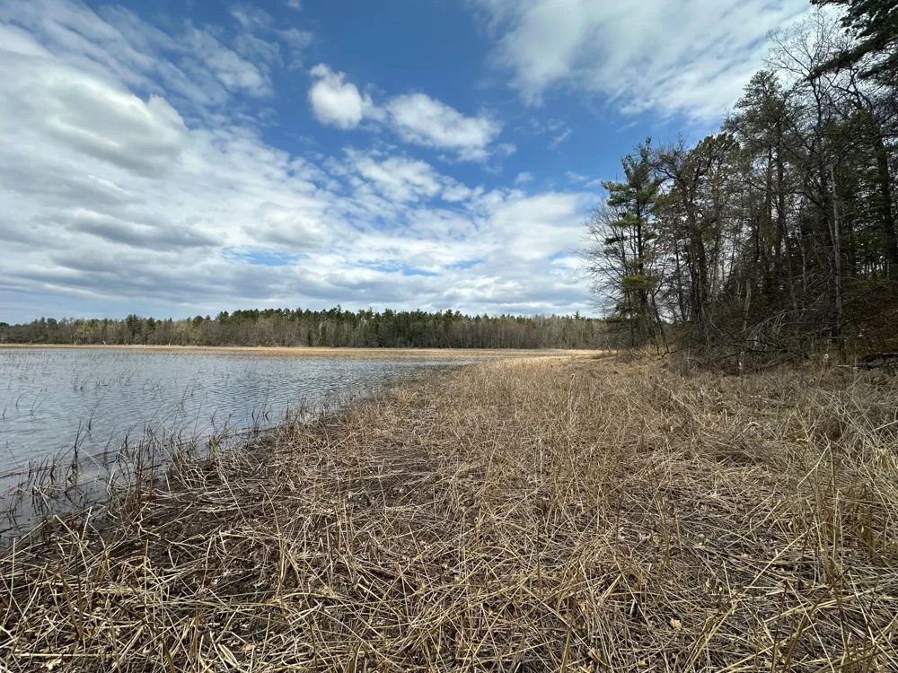 TBD Dobosenski Road Sturgeon Lake, MN 55783