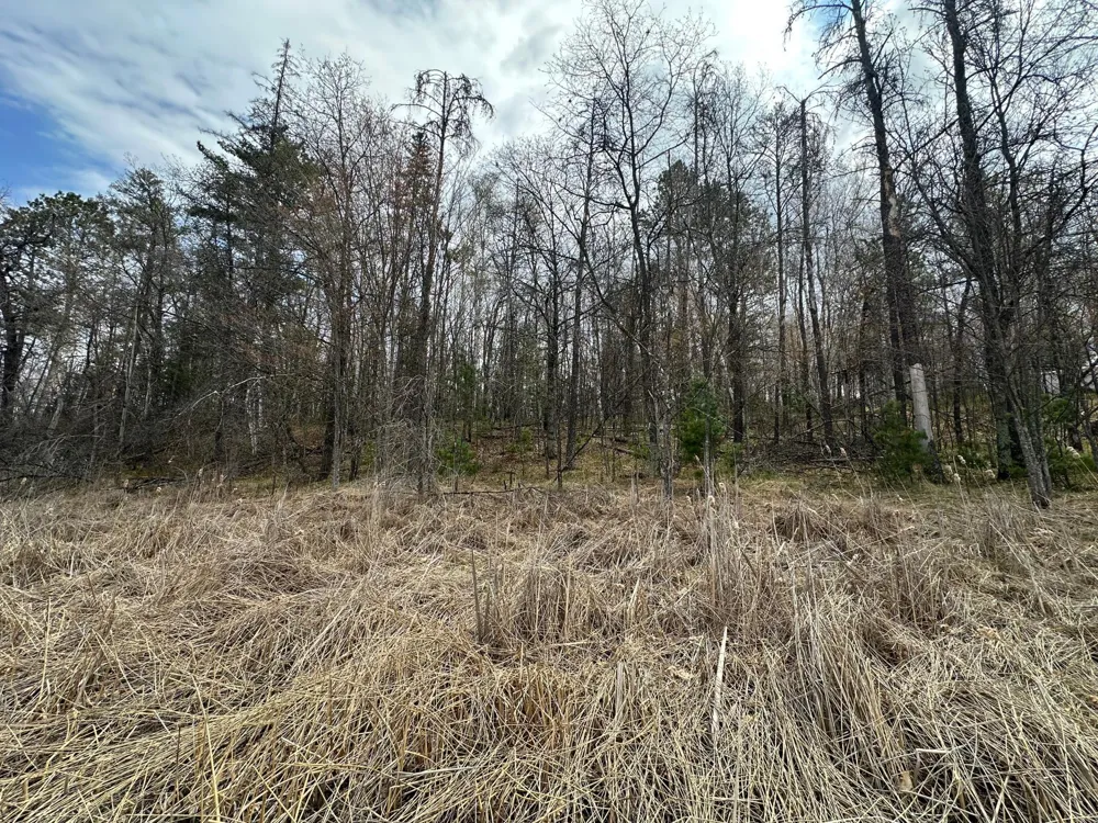 TBD Dobosenski Road Sturgeon Lake, MN 55783