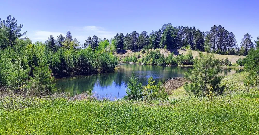 80064 Osprey Pass Tower, MN 55790