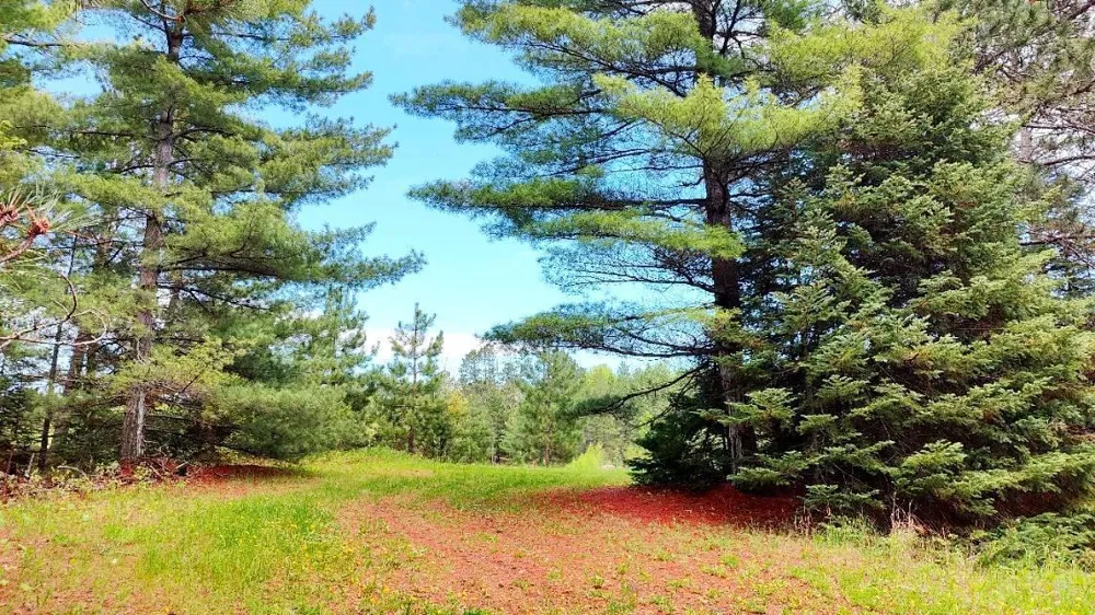 80064 Osprey Pass Tower, MN 55790