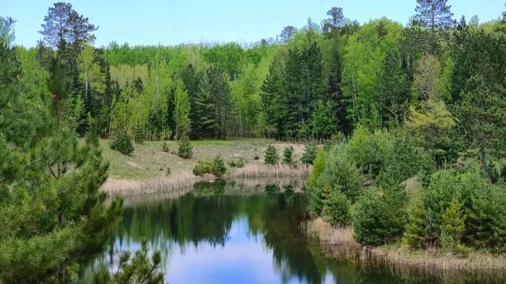80064 Osprey Pass Tower, MN 55790
