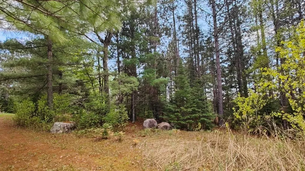 80064 Osprey Pass Tower, MN 55790