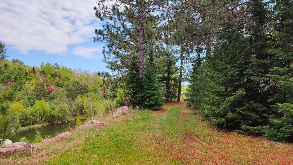 80064 Osprey Pass Tower, MN 55790